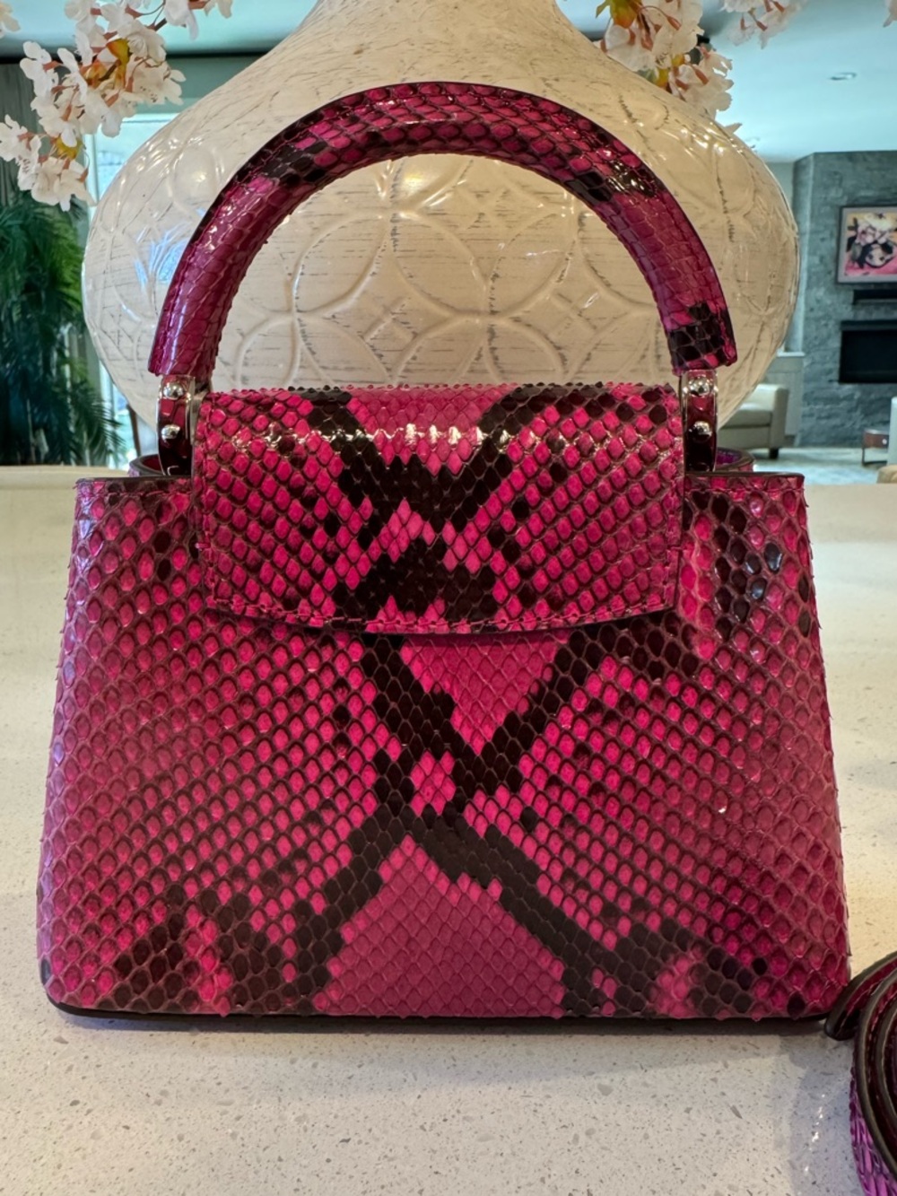 Louis Vuitton Python Capucines Mini - Picture 3 of 16